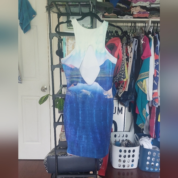 Beyonce x H&M blue dress - Picture 3 of 5